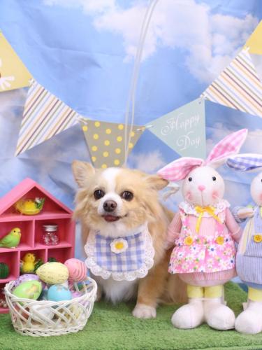 20240324マロ太くん